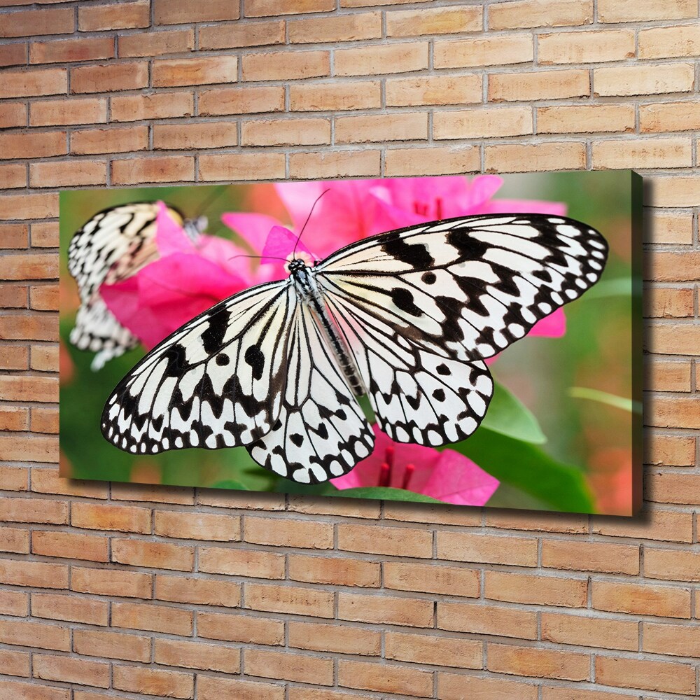 Tableau imprimé sur toile Papillon sur une fleur