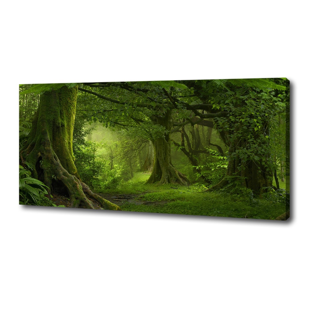 Tableau photo sur toile Jungle tropicale