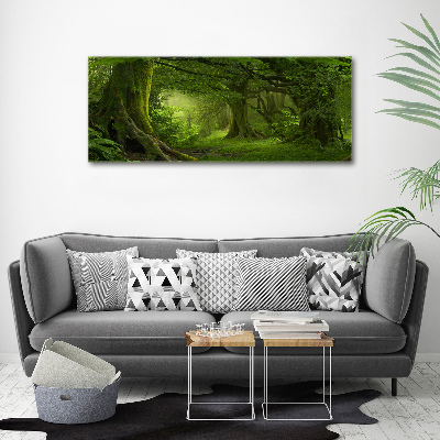 Tableau photo sur toile Jungle tropicale