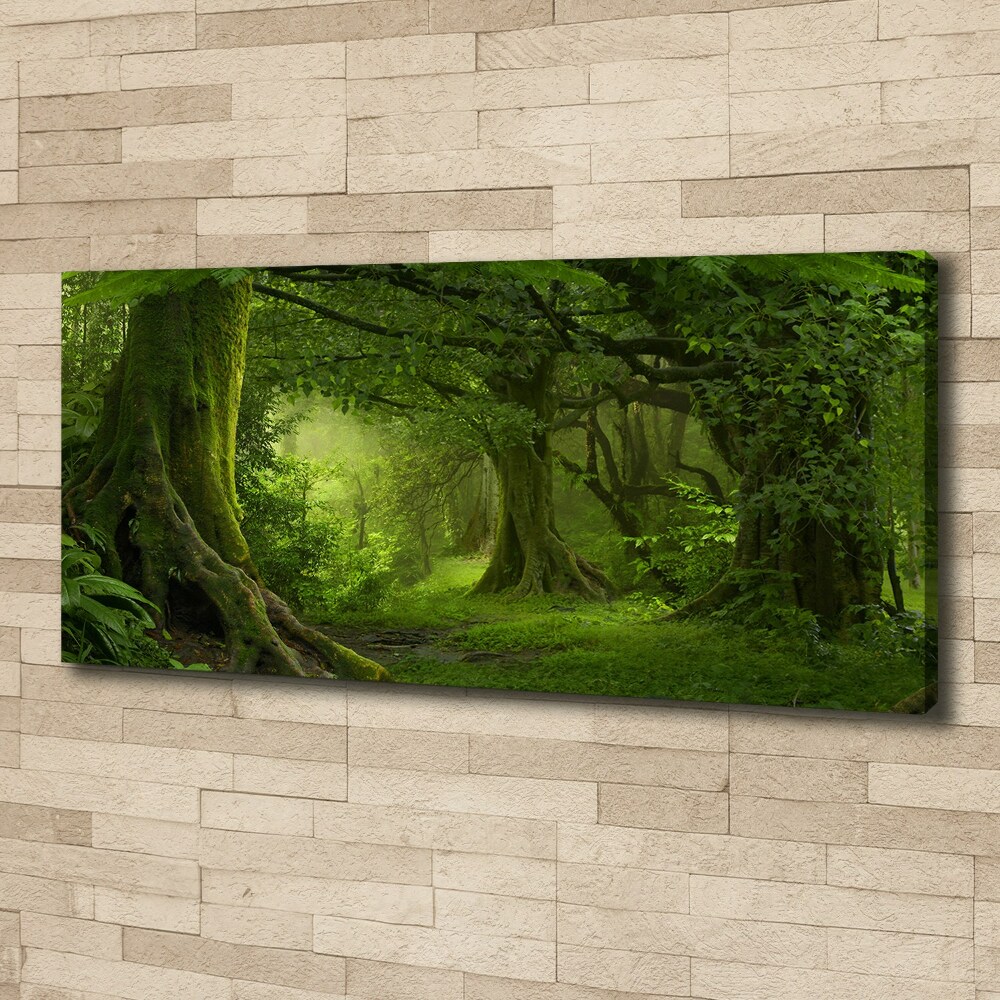 Tableau photo sur toile Jungle tropicale