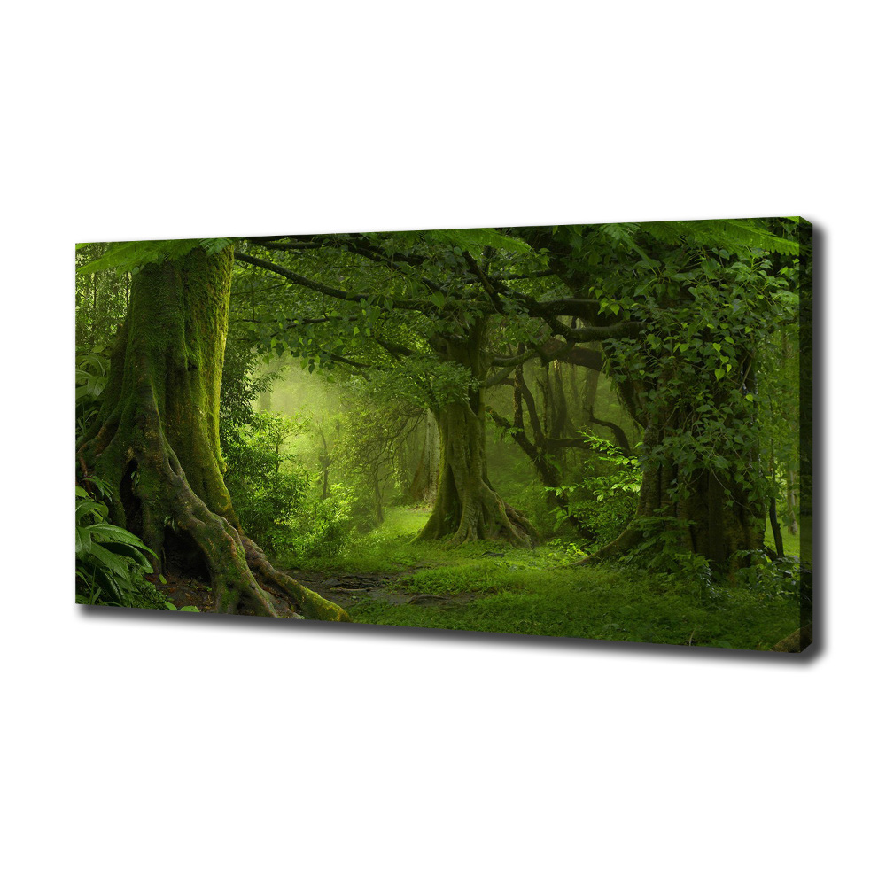 Tableau photo sur toile Jungle tropicale