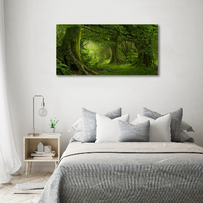 Tableau photo sur toile Jungle tropicale