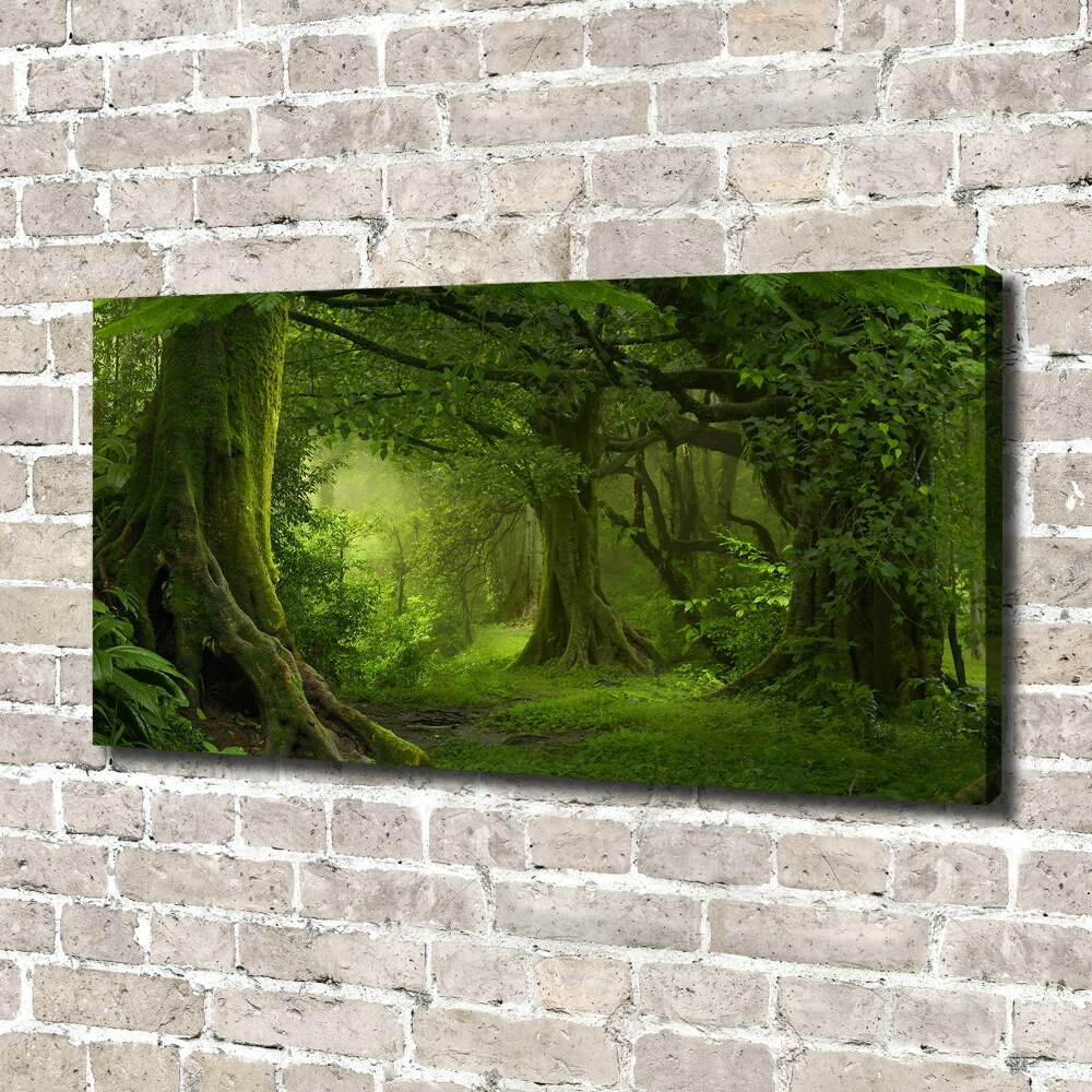 Tableau photo sur toile Jungle tropicale