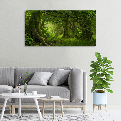 Tableau photo sur toile Jungle tropicale