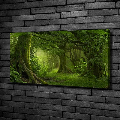 Tableau photo sur toile Jungle tropicale