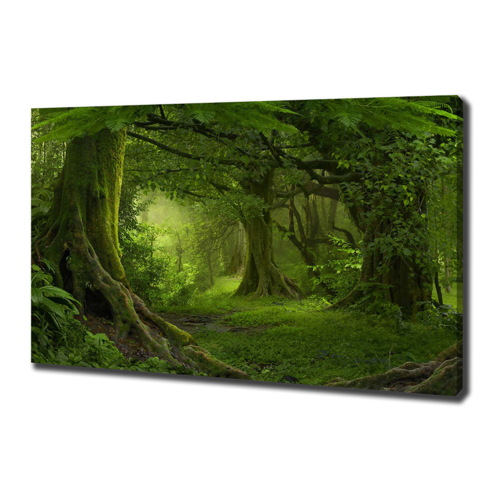 Tableau photo sur toile Jungle tropicale