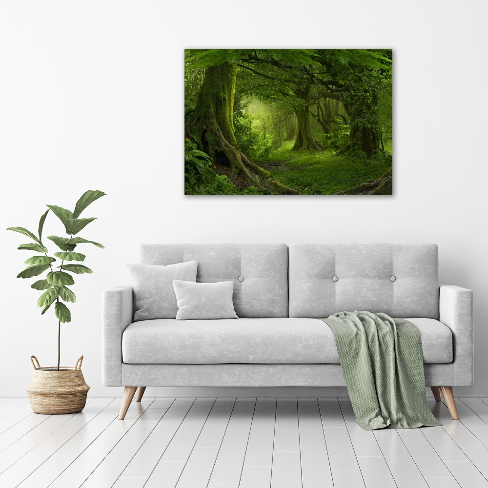 Tableau photo sur toile Jungle tropicale