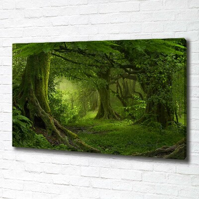 Tableau photo sur toile Jungle tropicale