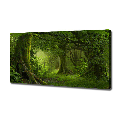 Tableau photo sur toile Jungle tropicale