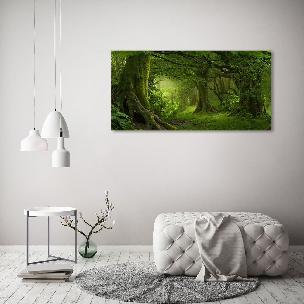 Tableau photo sur toile Jungle tropicale