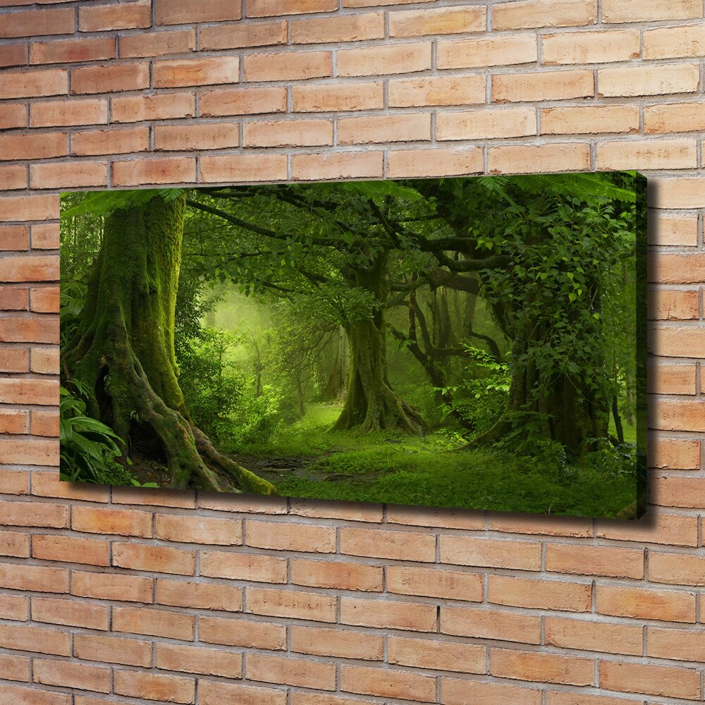 Tableau photo sur toile Jungle tropicale