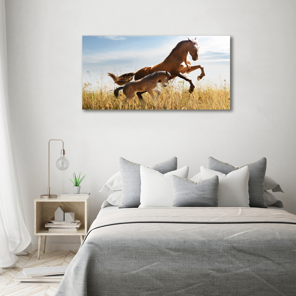 Tableau photo sur toile Jument et poulain