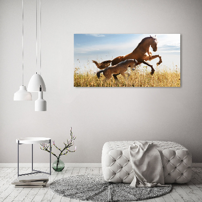 Tableau photo sur toile Jument et poulain