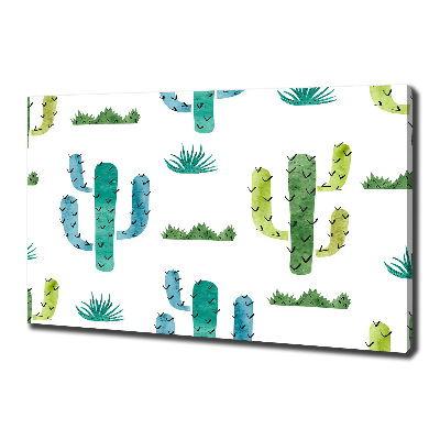 Tableau photo sur toile Cacti