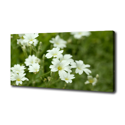 Tableau mural sur toile Fleurs de printemps