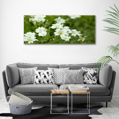 Tableau mural sur toile Fleurs de printemps