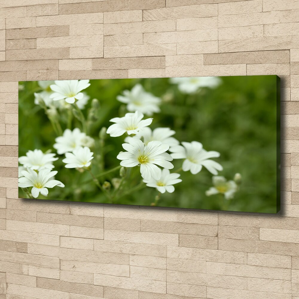 Tableau mural sur toile Fleurs de printemps