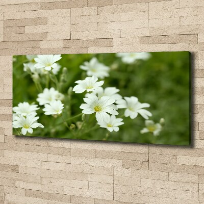 Tableau mural sur toile Fleurs de printemps