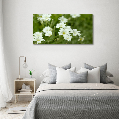 Tableau mural sur toile Fleurs de printemps