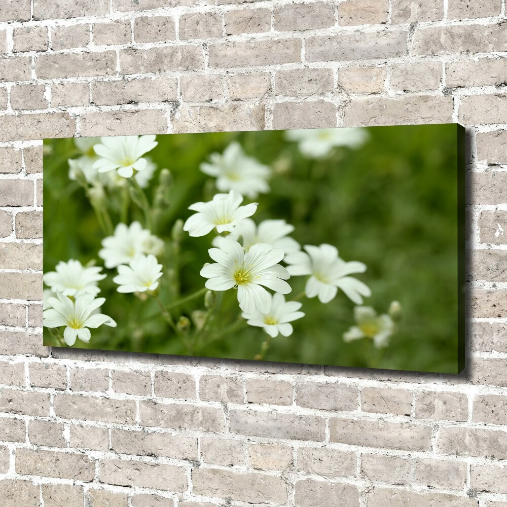 Tableau mural sur toile Fleurs de printemps