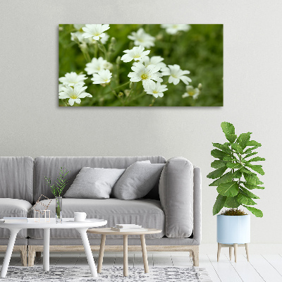 Tableau mural sur toile Fleurs de printemps