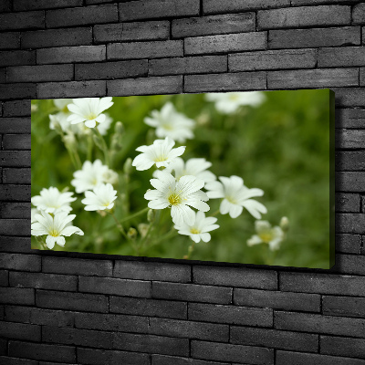 Tableau mural sur toile Fleurs de printemps