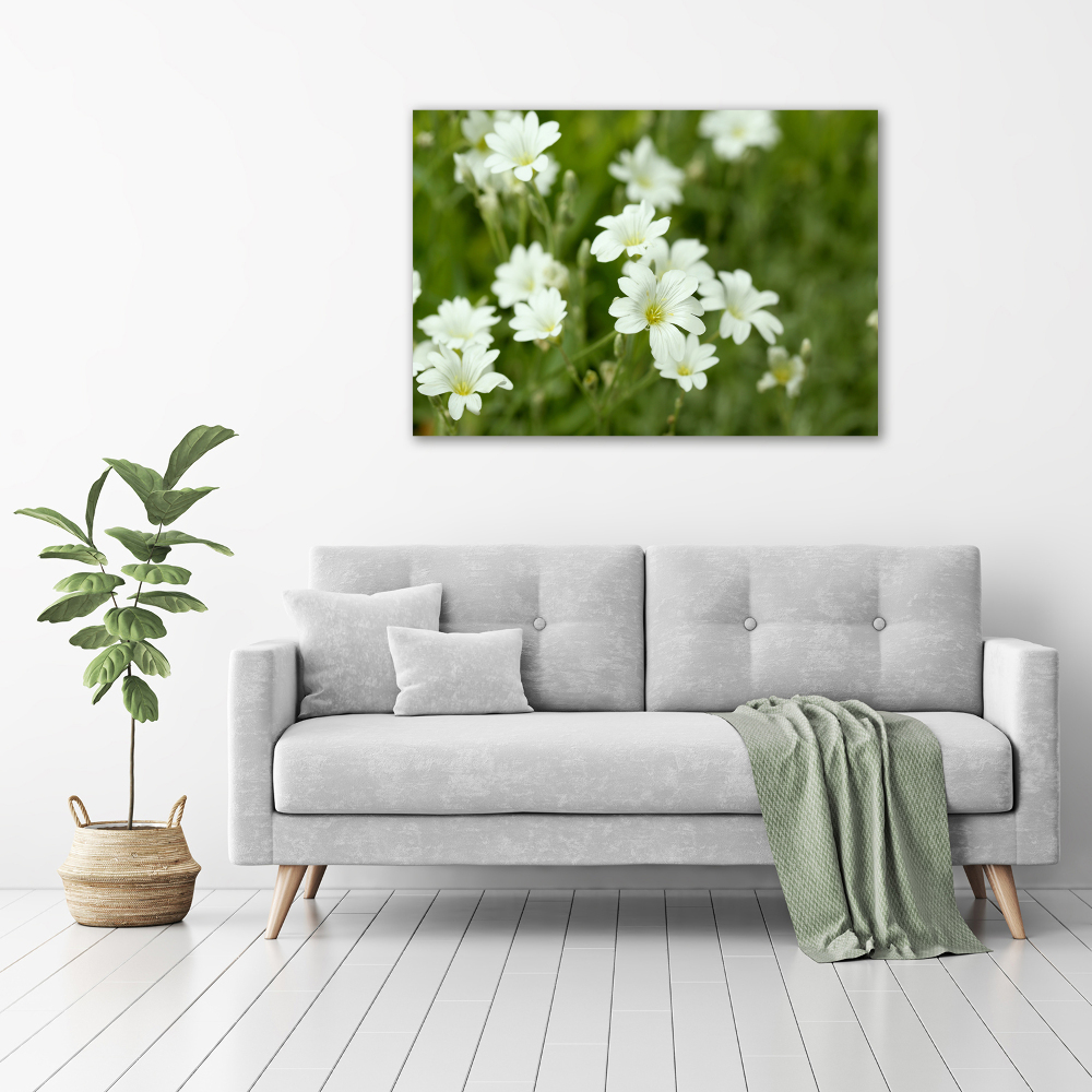 Tableau mural sur toile Fleurs de printemps