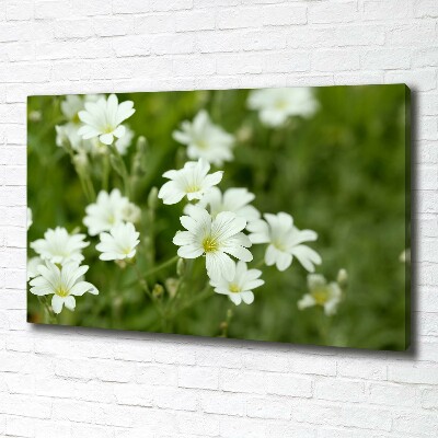 Tableau mural sur toile Fleurs de printemps