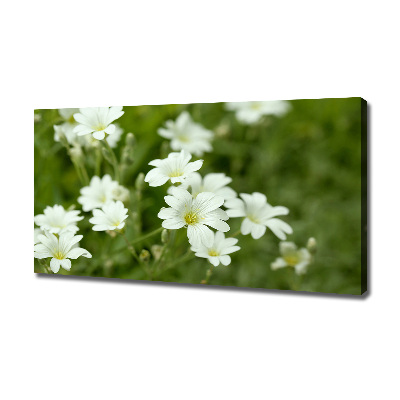 Tableau mural sur toile Fleurs de printemps