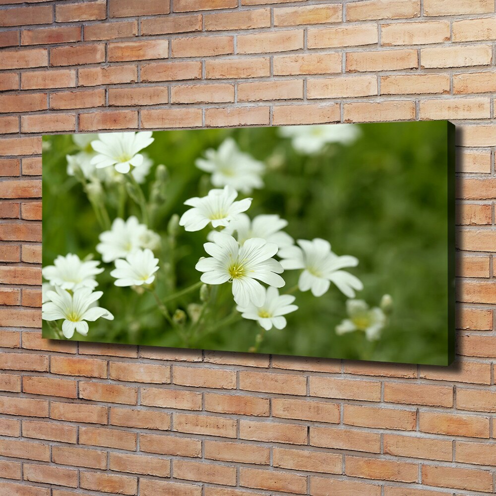 Tableau mural sur toile Fleurs de printemps