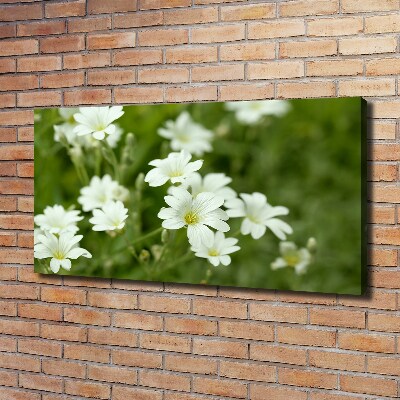 Tableau mural sur toile Fleurs de printemps