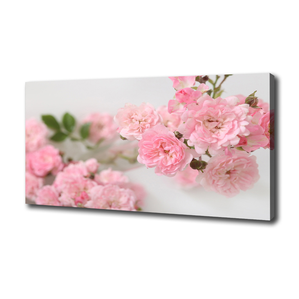 Tableau photo sur toile Roses sauvages