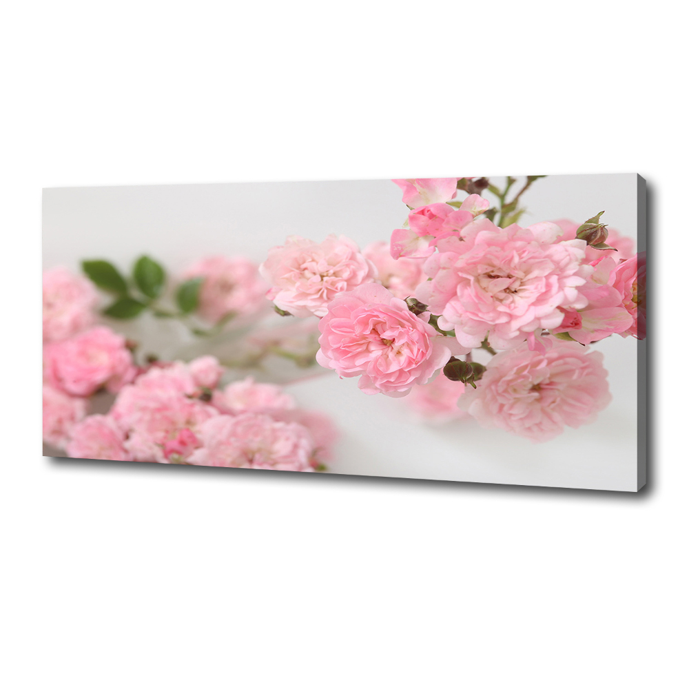 Tableau photo sur toile Roses sauvages