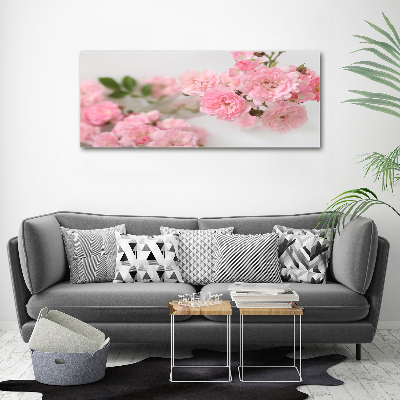 Tableau photo sur toile Roses sauvages