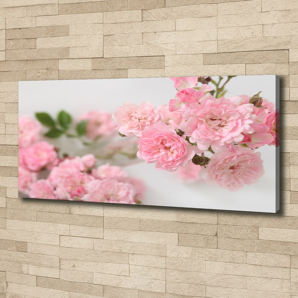 Tableau photo sur toile Roses sauvages