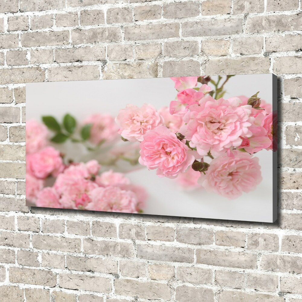 Tableau photo sur toile Roses sauvages