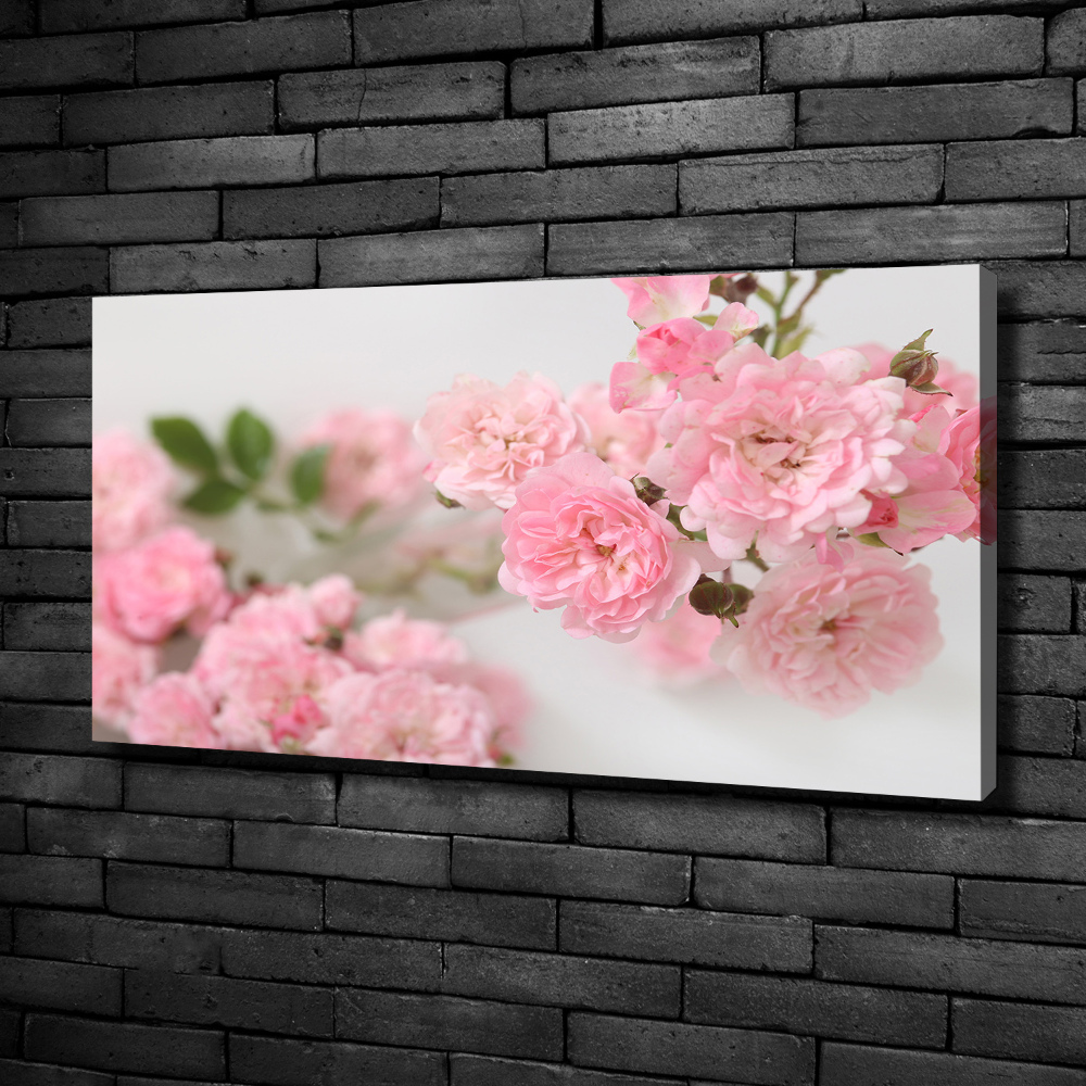 Tableau photo sur toile Roses sauvages