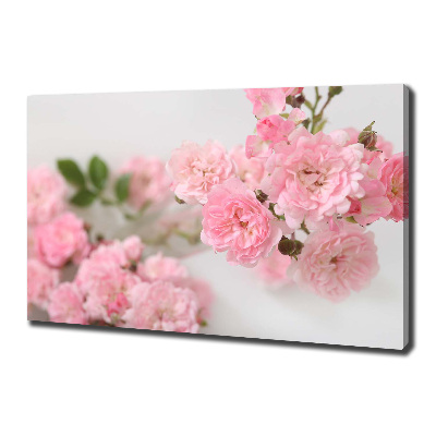 Tableau photo sur toile Roses sauvages