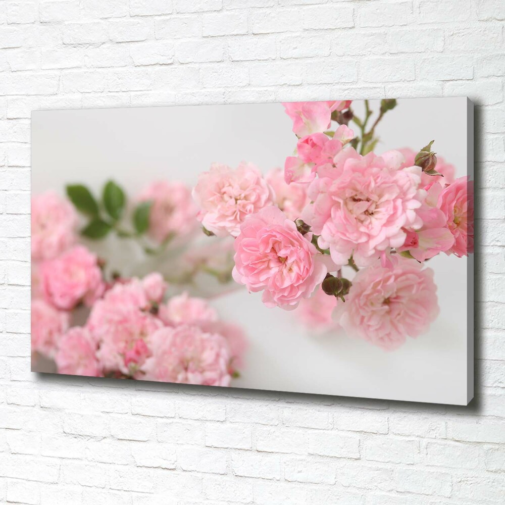 Tableau photo sur toile Roses sauvages