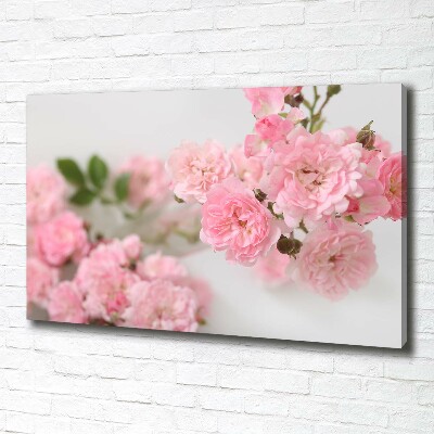 Tableau photo sur toile Roses sauvages