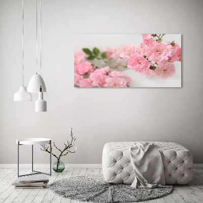 Tableau photo sur toile Roses sauvages