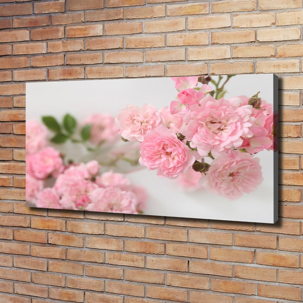 Tableau photo sur toile Roses sauvages