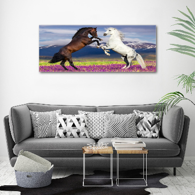 Tableau toile imprimée Combat de chevaux en montagne