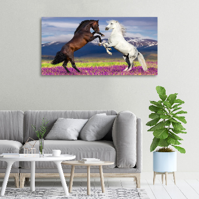 Tableau toile imprimée Combat de chevaux en montagne