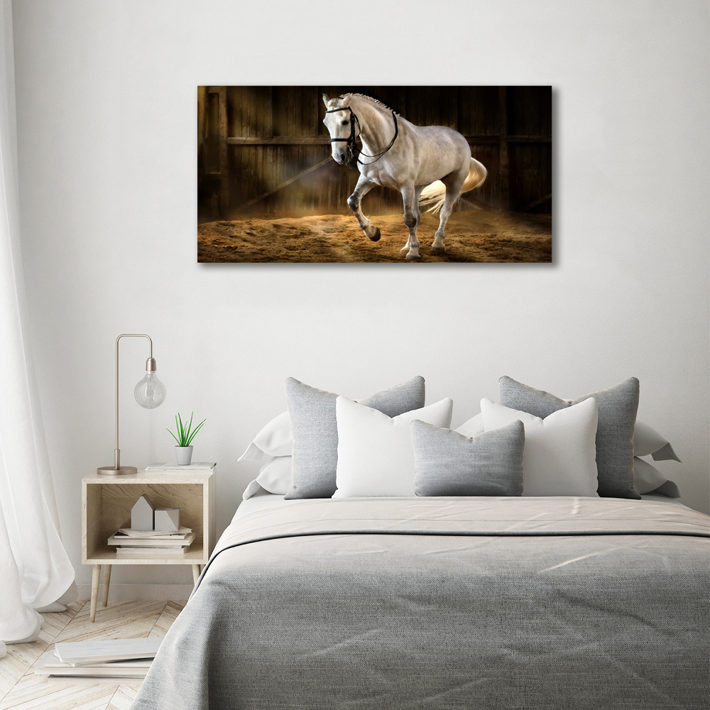 Tableau imprimé sur toile Cheval blanc à l'écurie