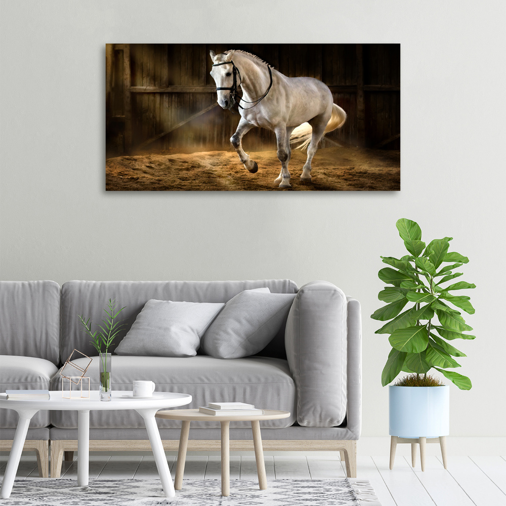 Tableau imprimé sur toile Cheval blanc à l'écurie