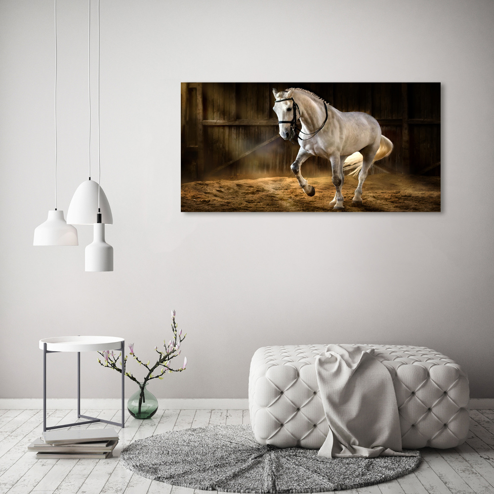 Tableau imprimé sur toile Cheval blanc à l'écurie