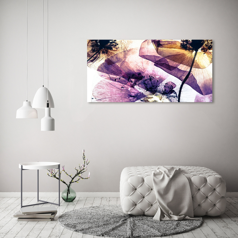 Tableau photo sur toile Coquelicots secs