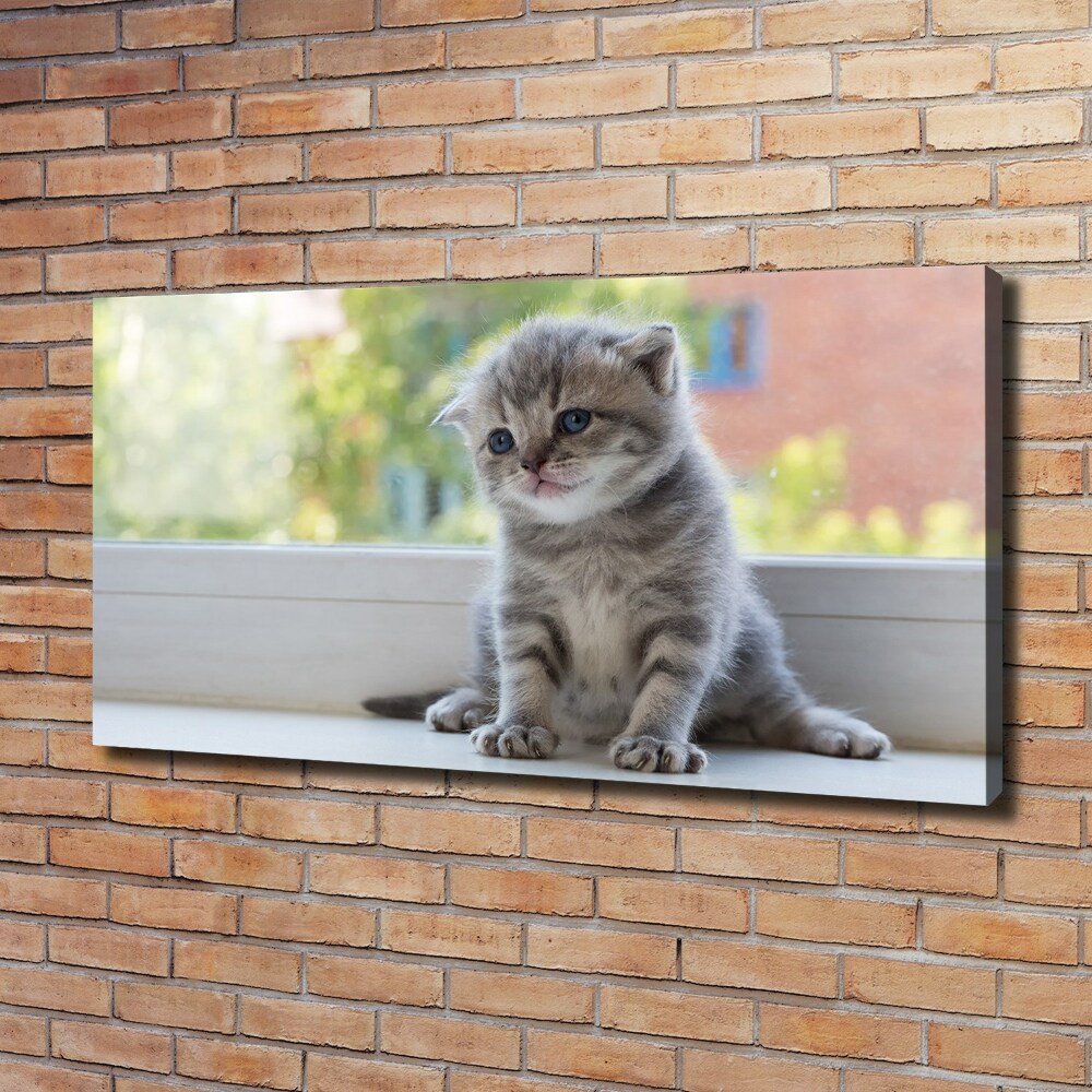 Tableau toile imprimée Petit chat à la fenêtre