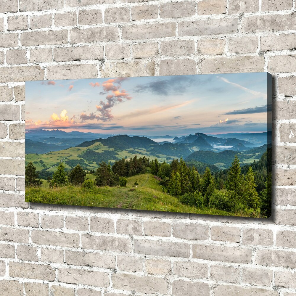 Tableau imprimé sur toile Panorama de Pieniny